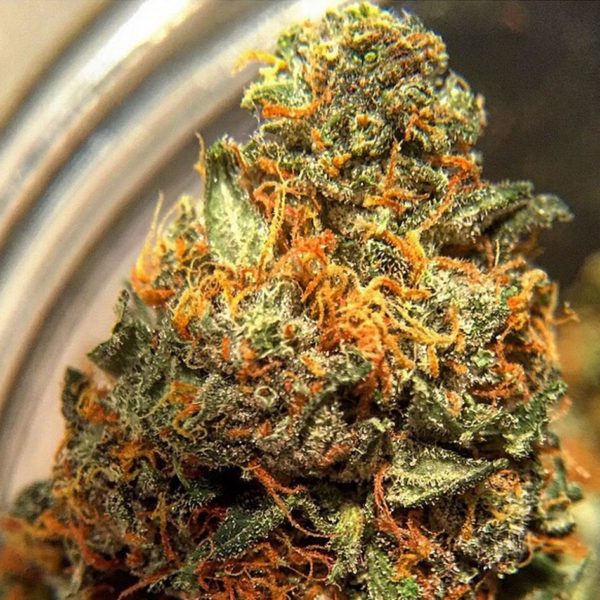 Buy Ak 47 Weed Online