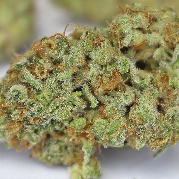 Buy Alien orange cookies Online