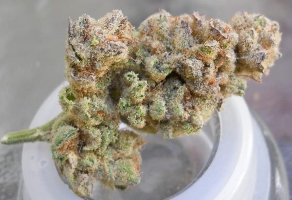 Buy Banana og Online