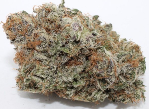 Buy Black cherry kush Online