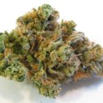 Buy Sativa Weed Online Buy