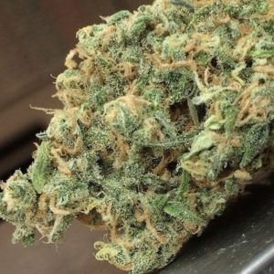 Buy Blue Haze Online