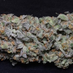 Buy Blueberry ca Online