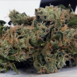 Buy Chemdawg online