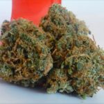 Buy Hybrid Weed Online