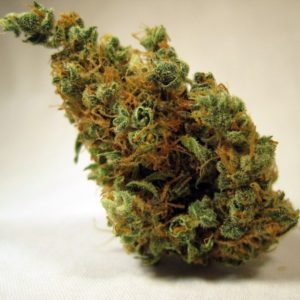 Buy deadhead og Online