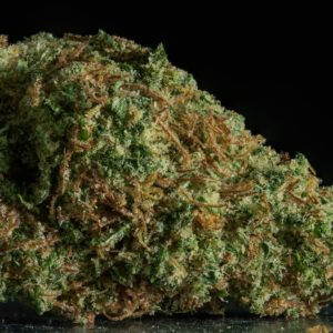 Buy Dutch treat Online