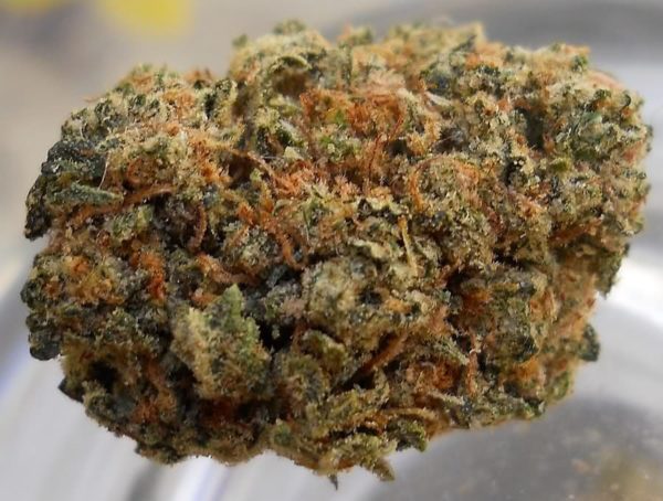 Buy Ghost Og Online