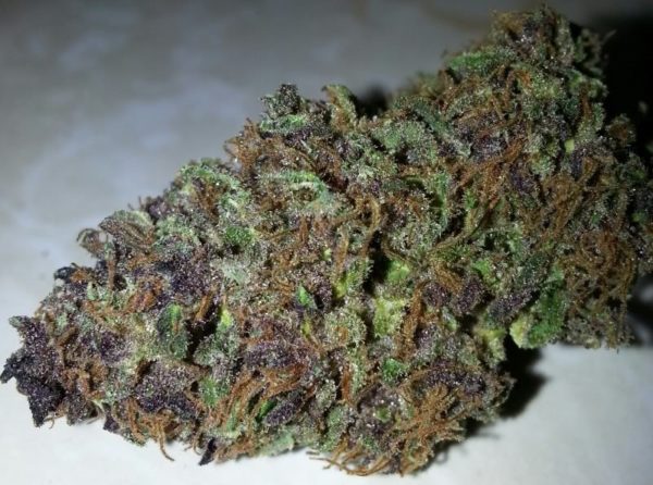 Buy God bud Online