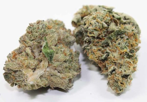 Buy Grape og Kush Online