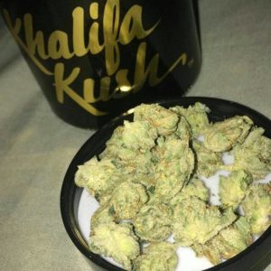 Buy Khalifa kush Online