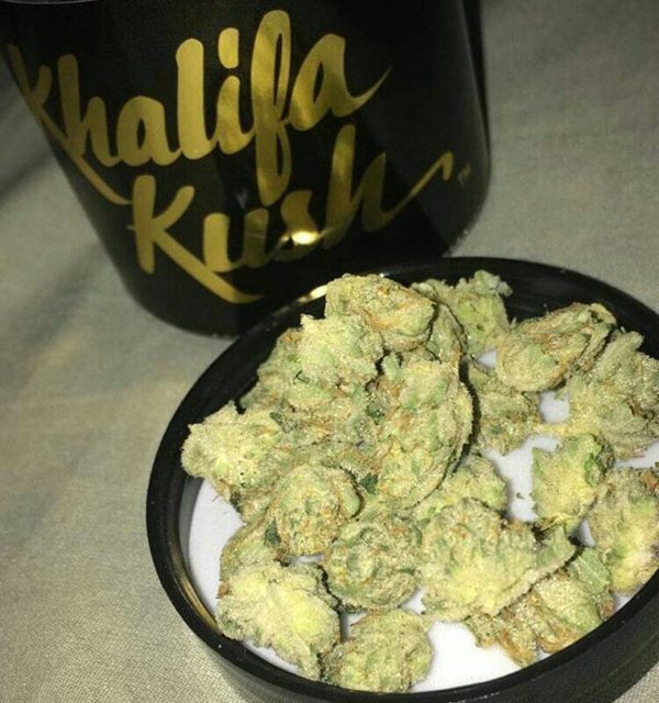 Buy Khalifa kush Online