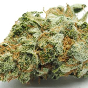 Buy kosher kush Online