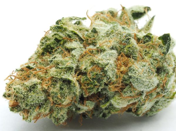 Buy kosher kush Online