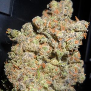 Buy Nuken CA Online