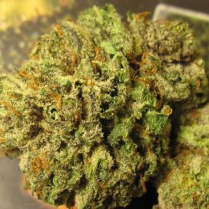 Buy og Kush Near Me Online