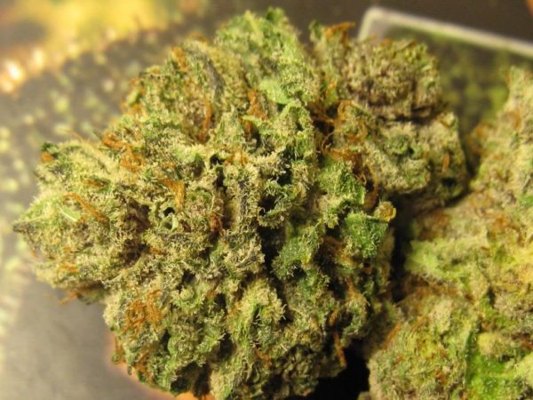 Buy og Kush Near Me Online