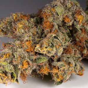 Buy Orange cookies Online