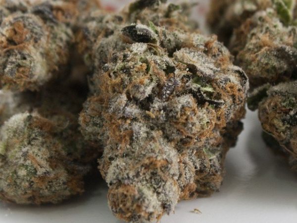 Buy platinum cookies Online