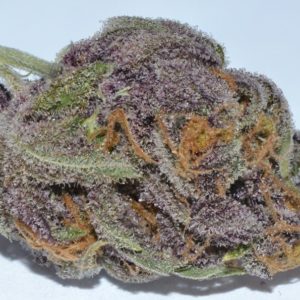 Buy purple dragon Online