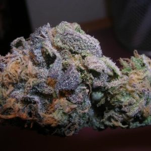 Buy purple haze Online