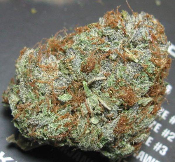 Buy Rockstar kush Online