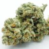 Buy Skywalker og Online