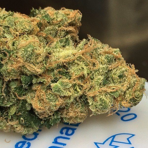 Buy sour diesel Online