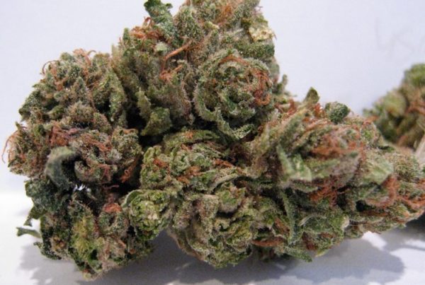 Buy Sour og Online