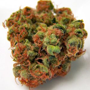 Buy sturterlicious Og Online