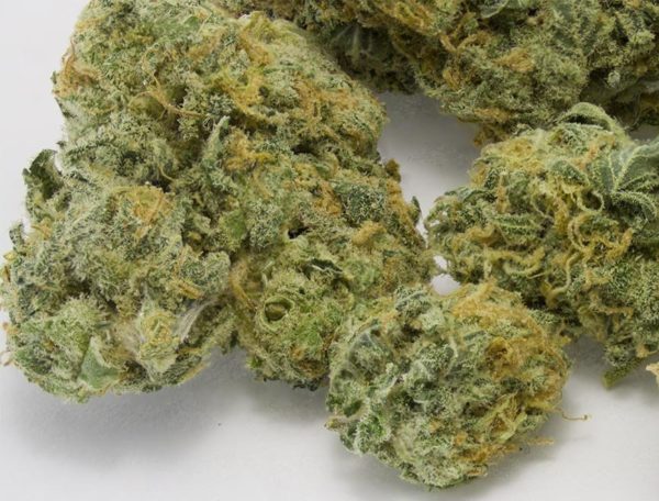 Buy Super lemon haze Online