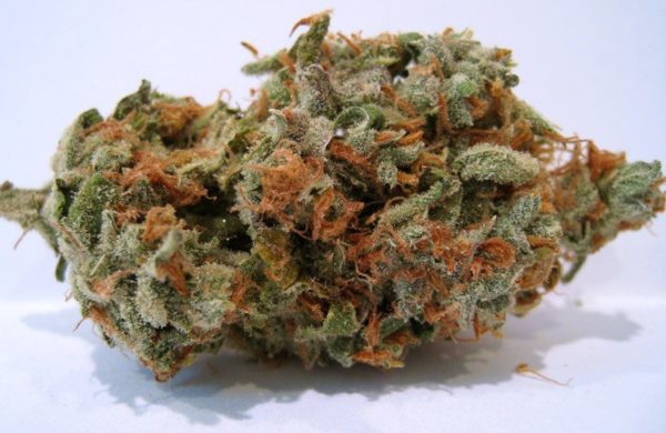 Buy super silver haze Online