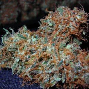 Buy white widow Online